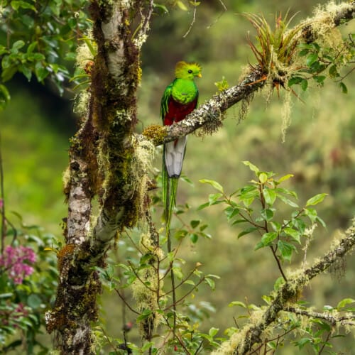 Finnature's photography tour to Costa Rica in November 2024